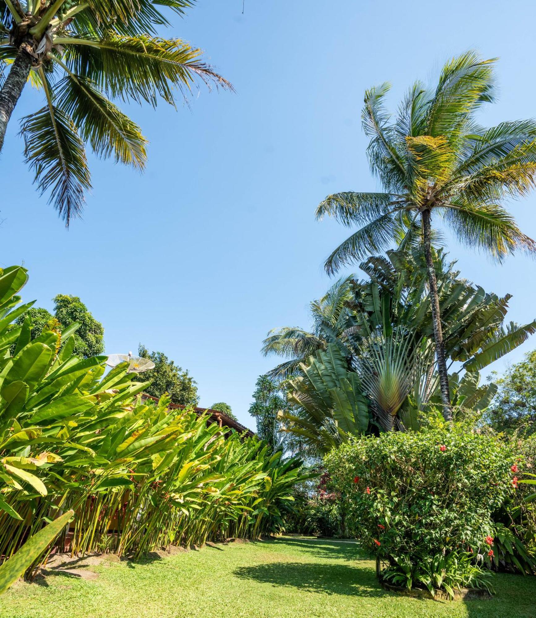Pousada Jardim Das Margaridas Trancoso Extérieur photo