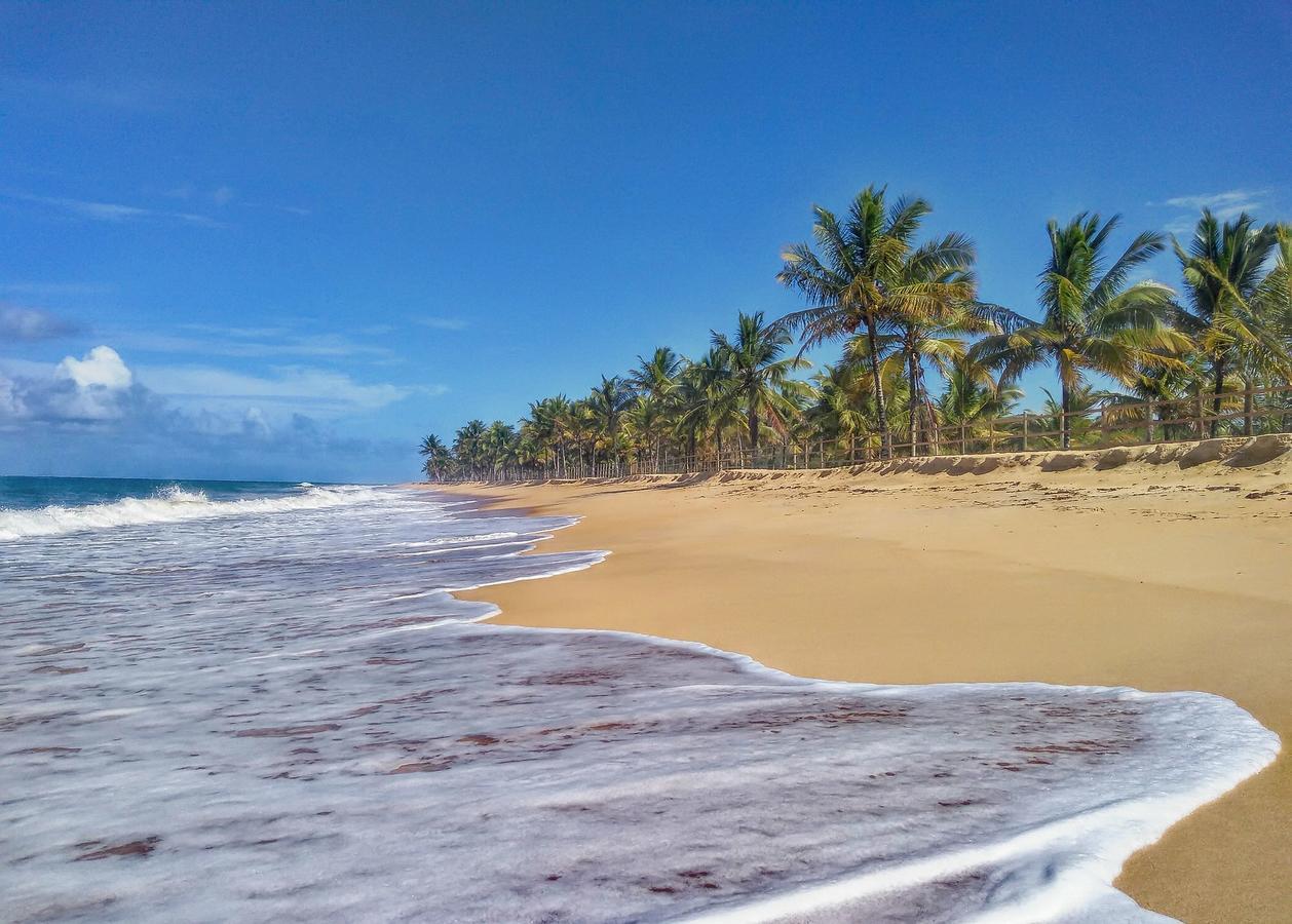 Pousada Jardim Das Margaridas Trancoso Extérieur photo