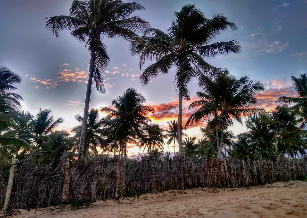 Pousada Jardim Das Margaridas Trancoso Extérieur photo