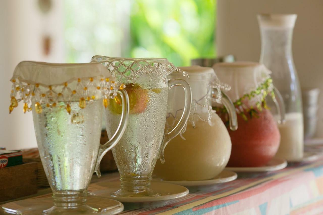 Pousada Jardim Das Margaridas Trancoso Extérieur photo