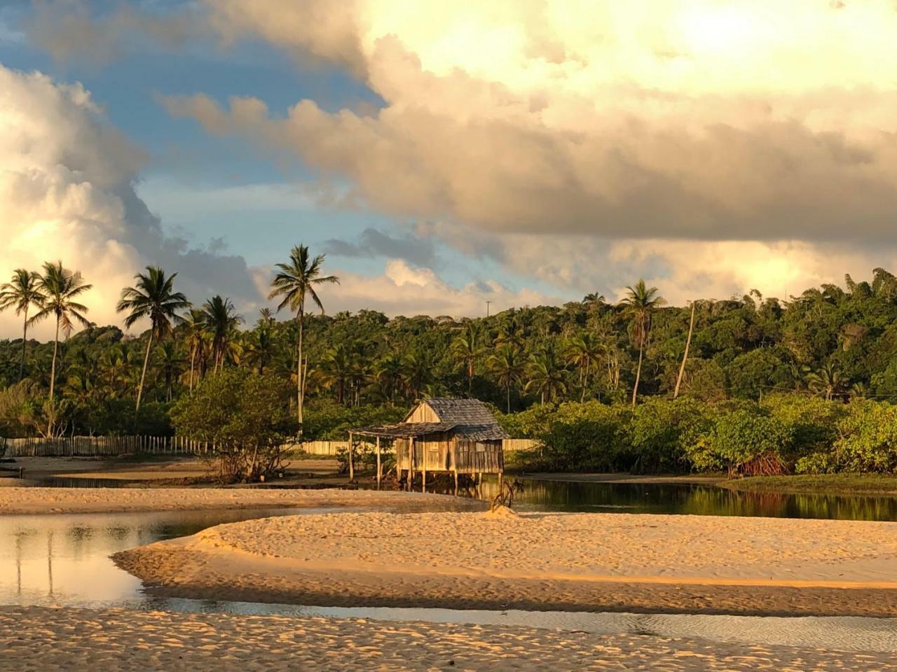 Pousada Jardim Das Margaridas Trancoso Extérieur photo